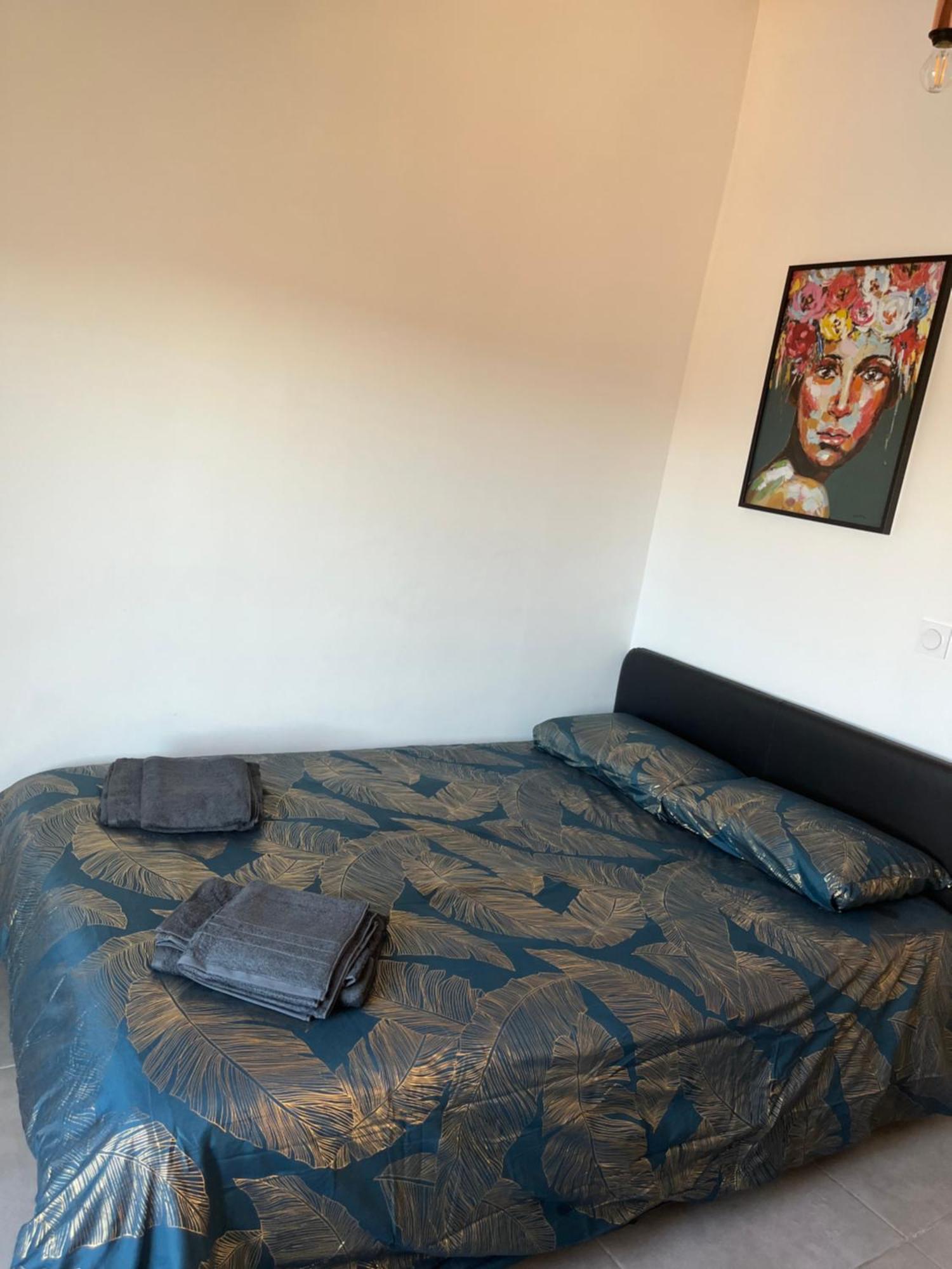 Charmant Appartement Climatise Quartier Las Cobas Perpignan Zewnętrze zdjęcie