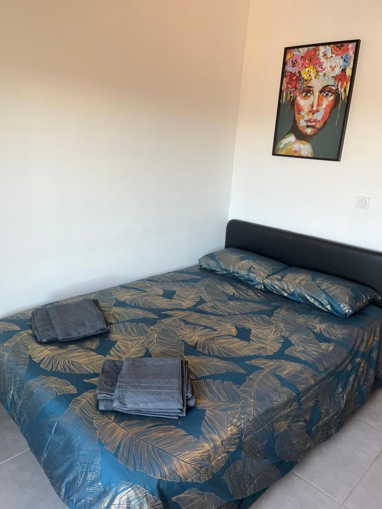 Charmant Appartement Climatise Quartier Las Cobas Perpignan Zewnętrze zdjęcie